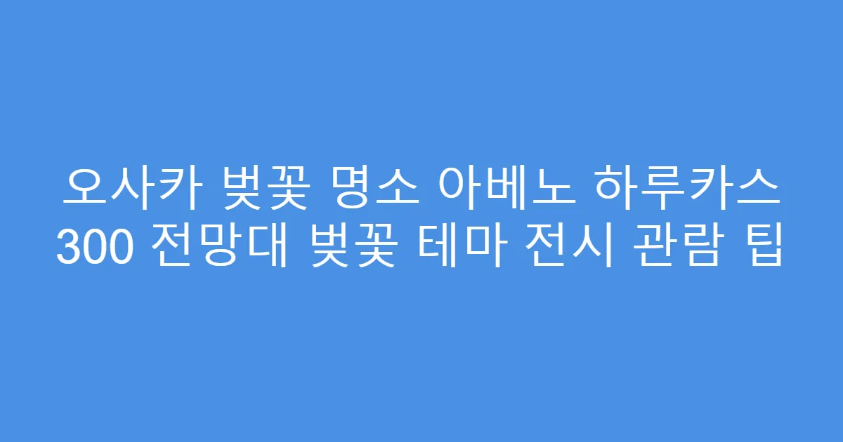 오사카 벚꽃 명소 아베노 하루카스 300 전망대 벚꽃 테마 전시 관람 팁