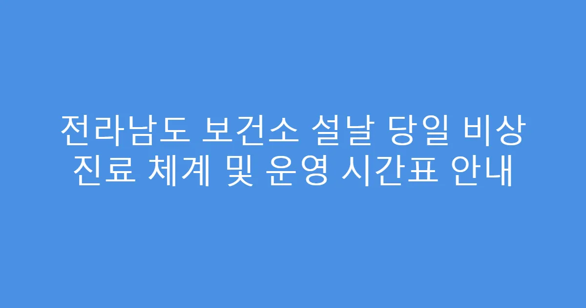전라남도 보건소 설날 당일 비상 진료 체계 및 운영 시간표 안내