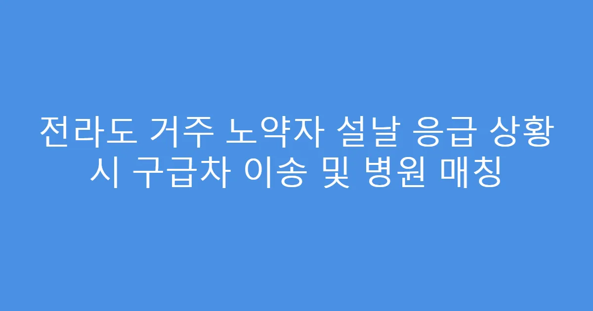 전라도 거주 노약자 설날 응급 상황 시 구급차 이송 및 병원 매칭