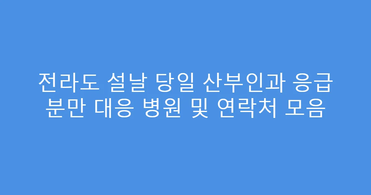 전라도 설날 당일 산부인과 응급 분만 대응 병원 및 연락처 모음