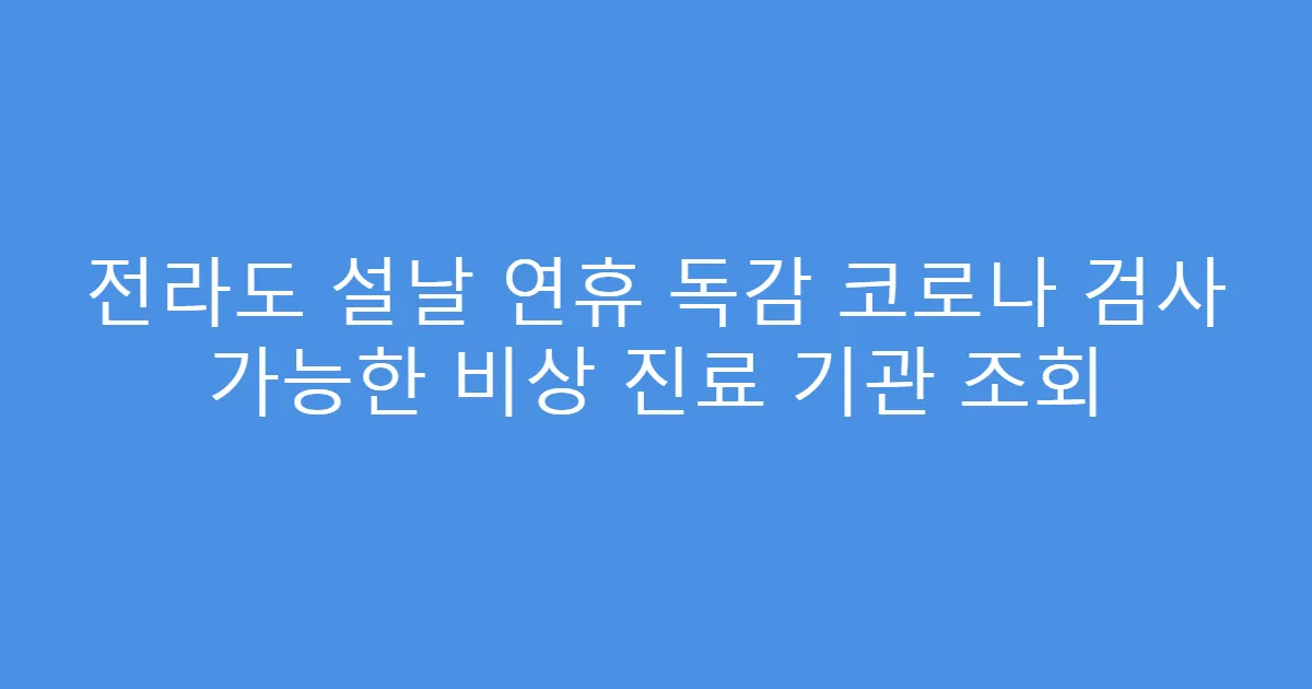 전라도 설날 연휴 독감 코로나 검사 가능한 비상 진료 기관 조회