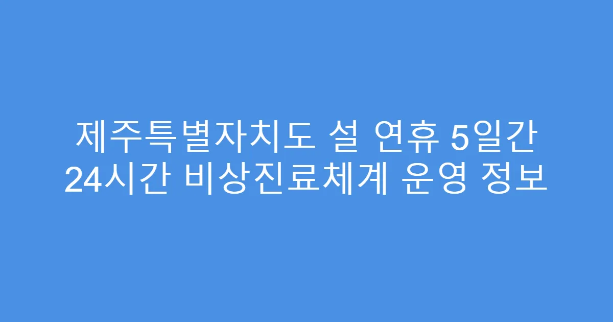 제주특별자치도 설 연휴 5일간 24시간 비상진료체계 운영 정보