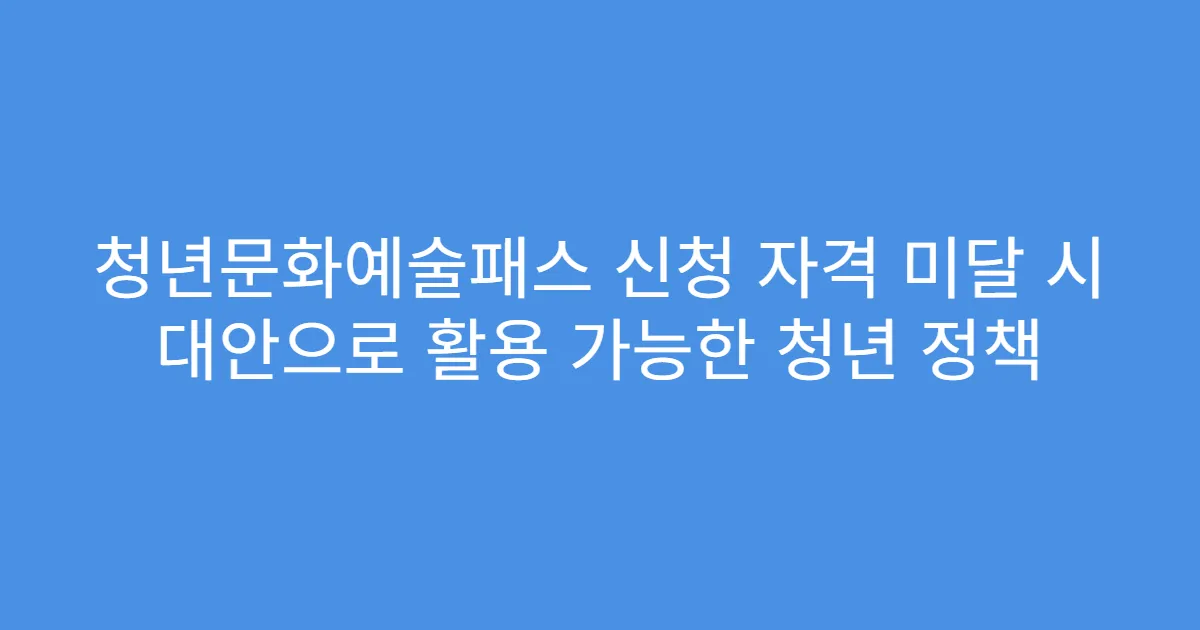 청년문화예술패스 신청 자격 미달 시 대안으로 활용 가능한 청년 정책