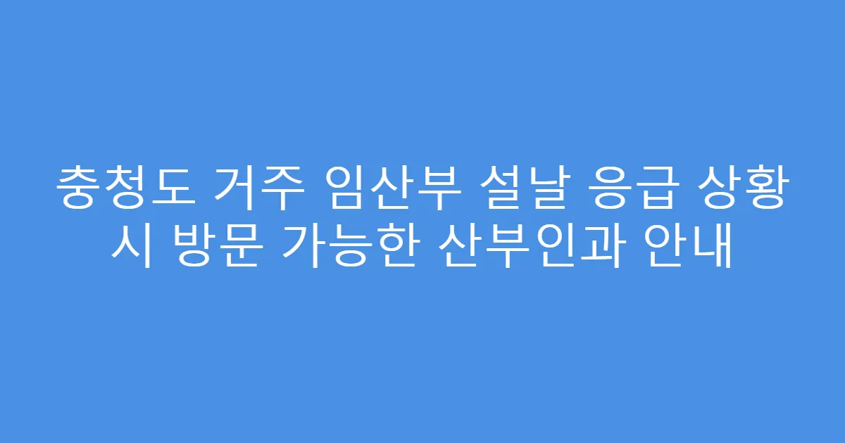 충청도 거주 임산부 설날 응급 상황 시 방문 가능한 산부인과 안내