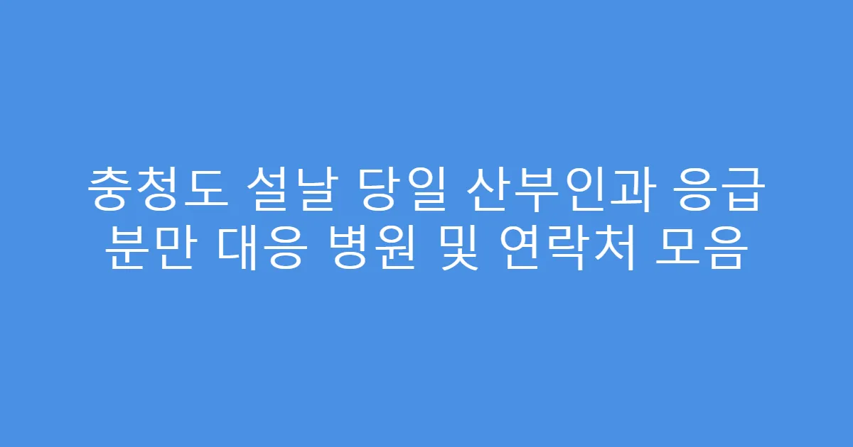 충청도 설날 당일 산부인과 응급 분만 대응 병원 및 연락처 모음