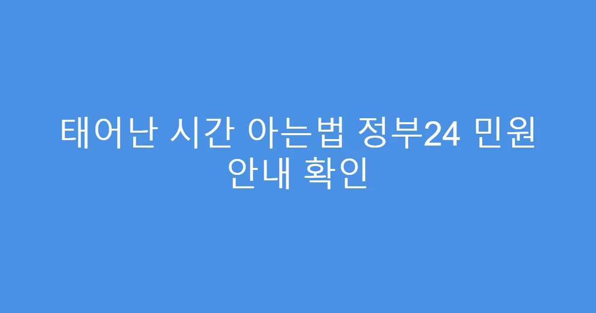 태어난 시간 아는법 정부24 민원 안내 확인