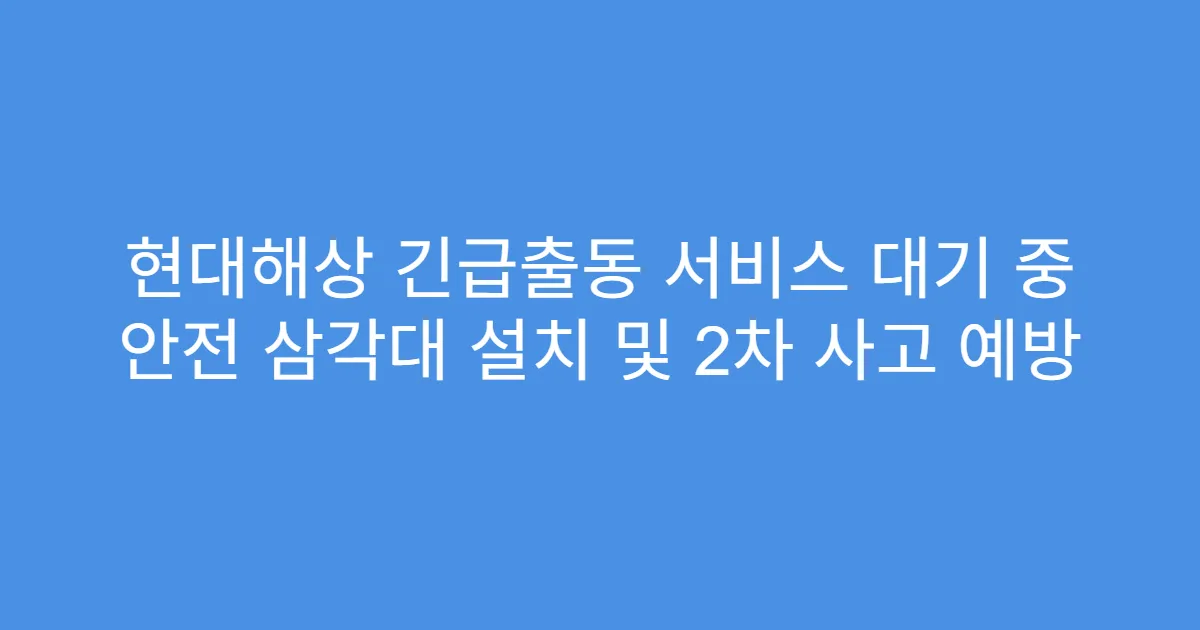 현대해상 긴급출동 서비스 대기 중 안전 삼각대 설치 및 2차 사고 예방