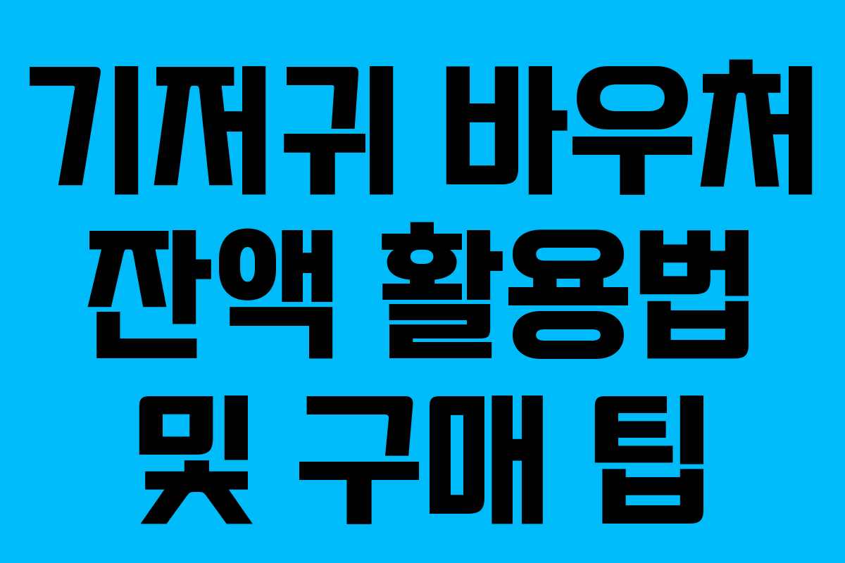 기저귀 바우처 잔액 활용법 및 구매 팁