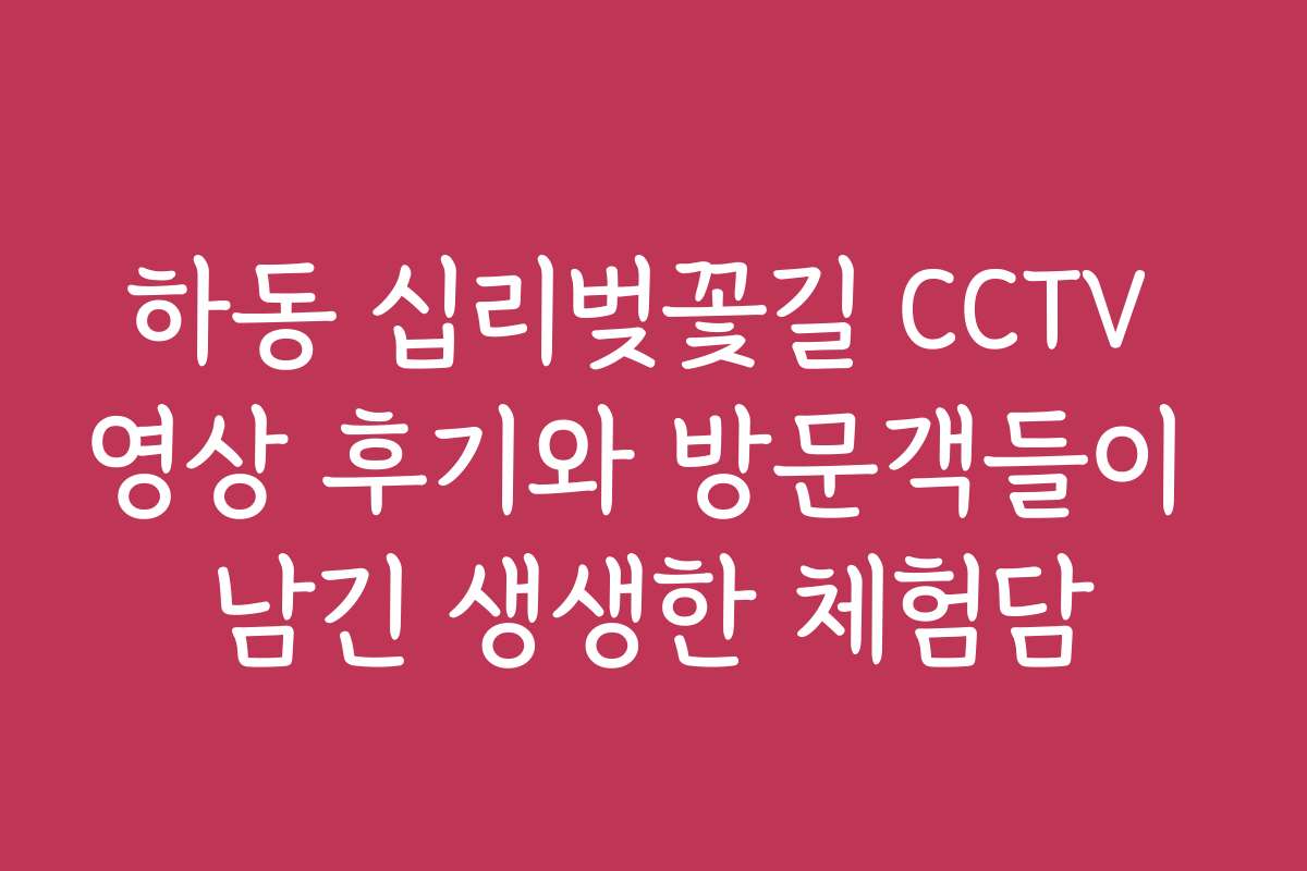 하동 십리벚꽃길 CCTV 영상 후기와 방문객들이 남긴 생생한 체험담