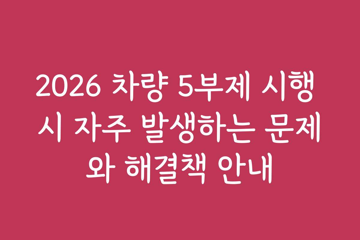2026 차량 5부제 시행 시 자주 발생하는 문제와 해결책 안내