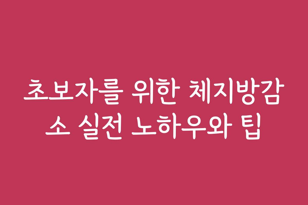 초보자를 위한 체지방감소 실전 노하우와 팁