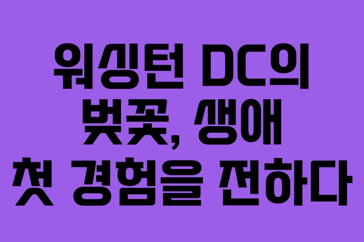 워싱턴 DC의 벚꽃, 생애 첫 경험을 전하다