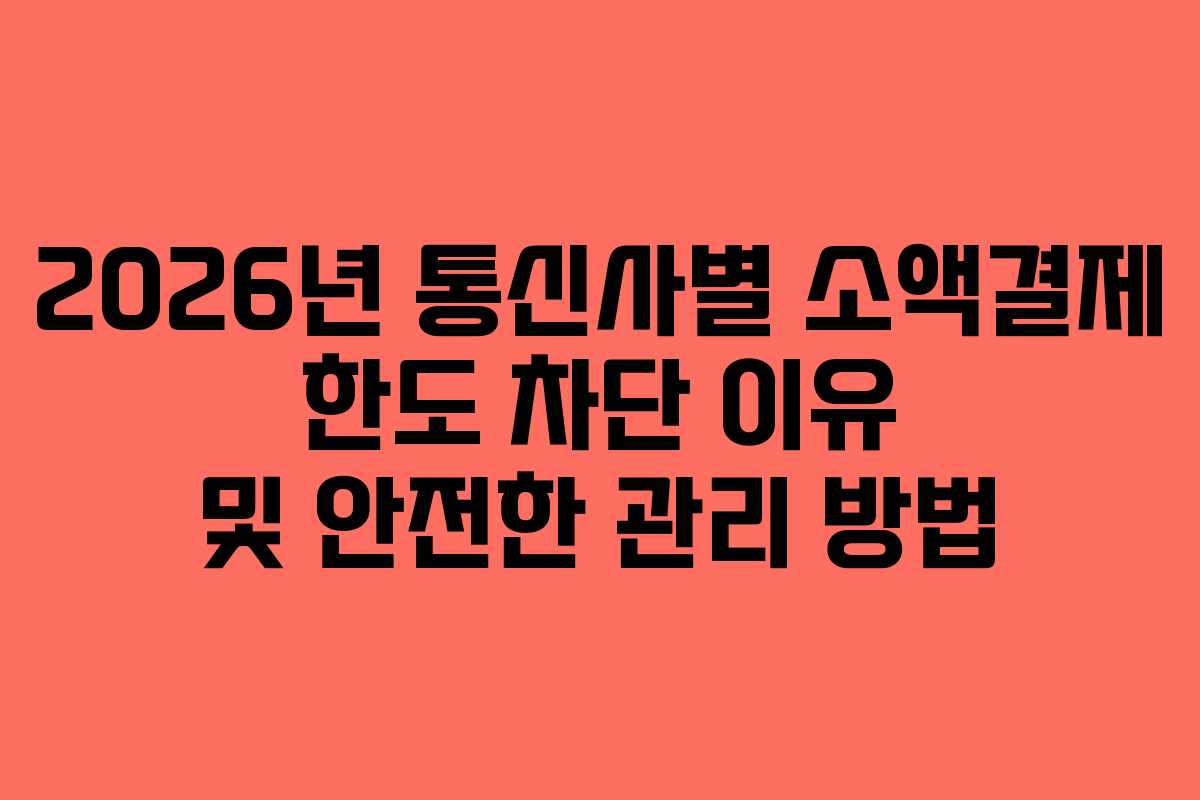 2026년 통신사별 소액결제 한도 차단 이유 및 안전한 관리 방법