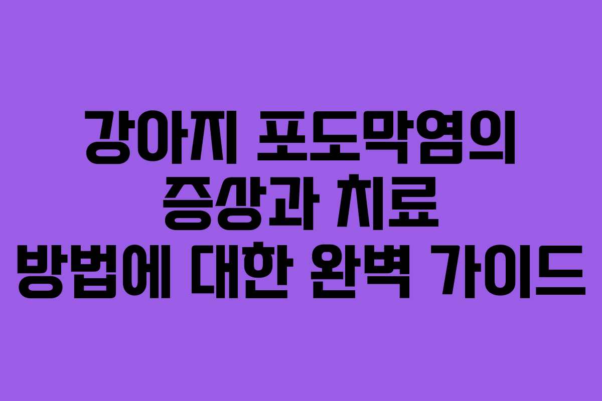 강아지 포도막염의 증상과 치료 방법에 대한 완벽 가이드