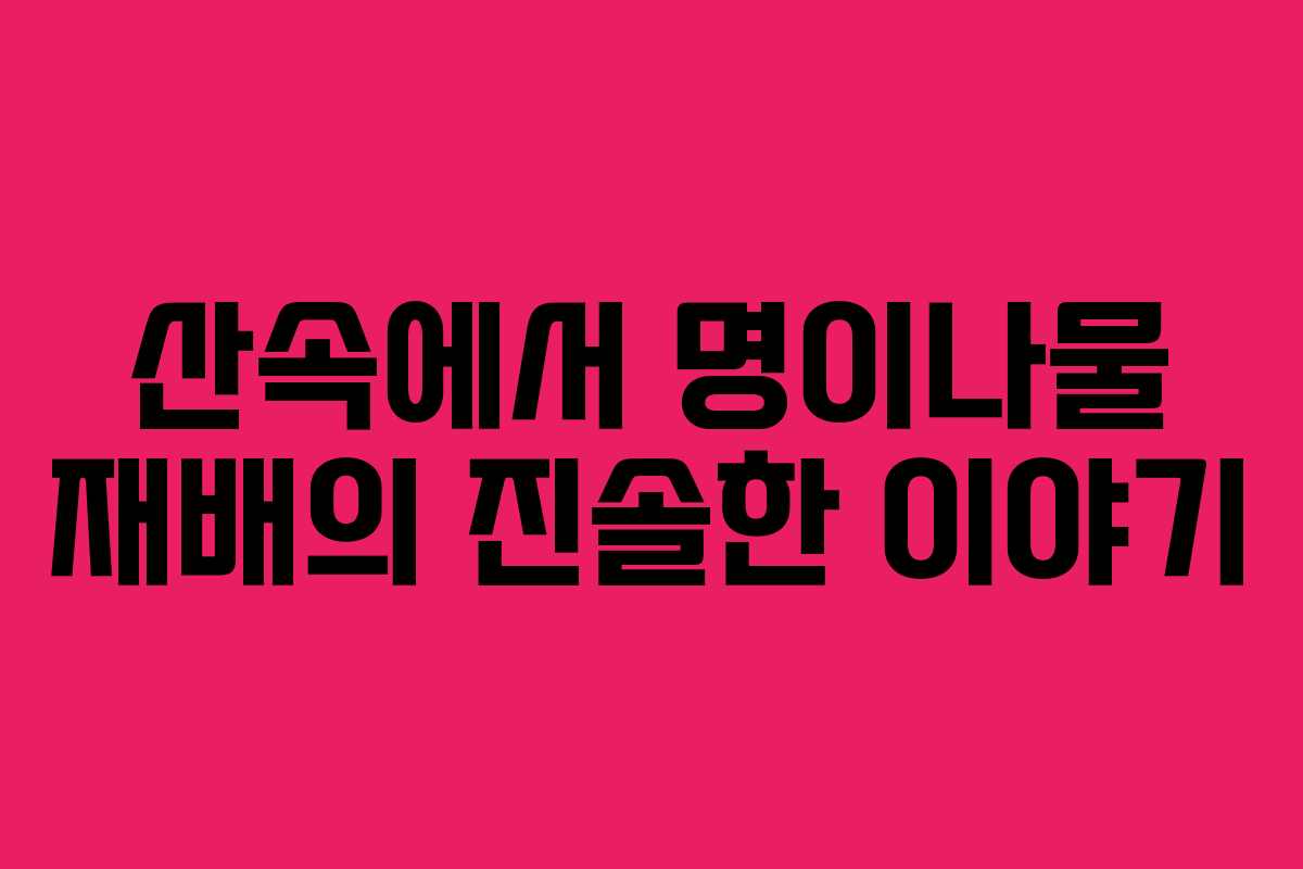 산속에서 명이나물 재배의 진솔한 이야기