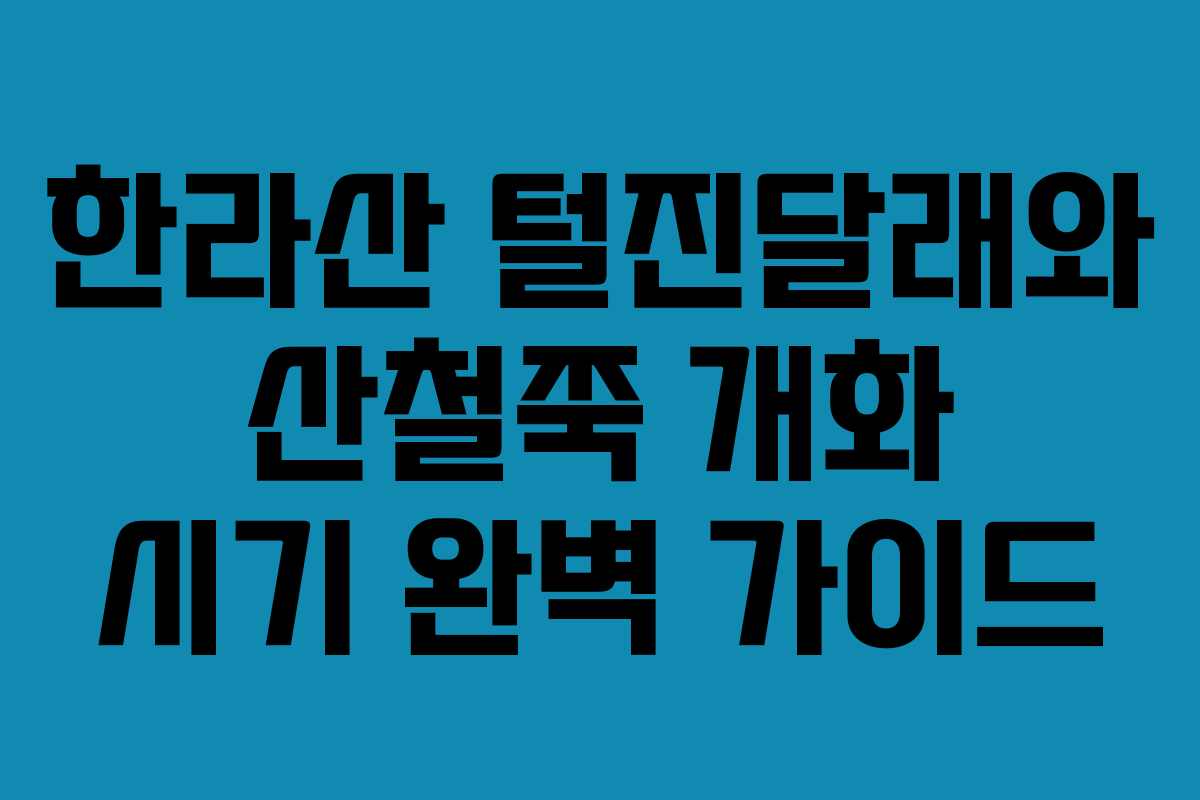 한라산 털진달래와 산철쭉 개화 시기 완벽 가이드