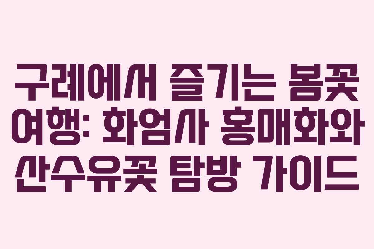 구례에서 즐기는 봄꽃 여행: 화엄사 홍매화와 산수유꽃 탐방 가이드