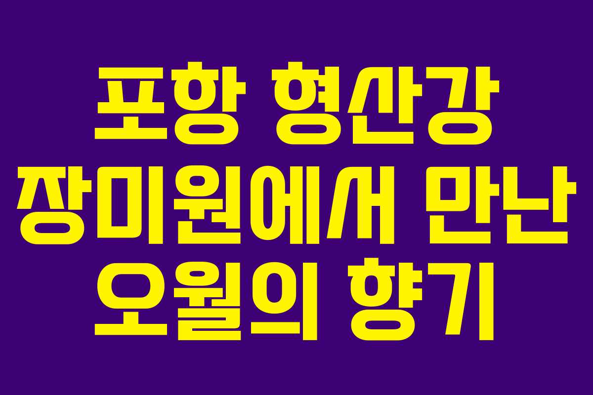 포항 형산강 장미원에서 만난 오월의 향기