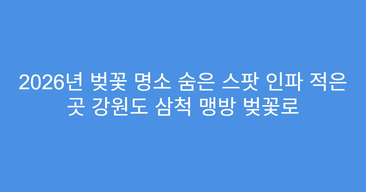 2026년 벚꽃 명소 숨은 스팟 인파 적은 곳 강원도 삼척 맹방 벚꽃로