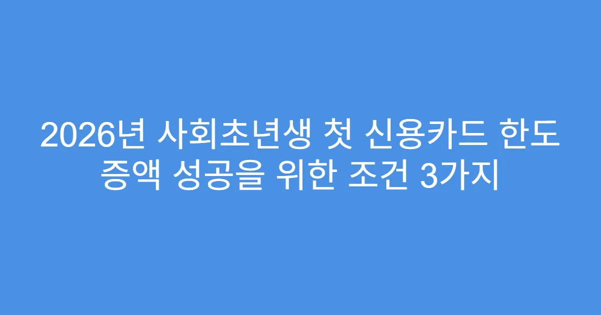 2026년 사회초년생 첫 신용카드 한도 증액 성공을 위한 조건 3가지