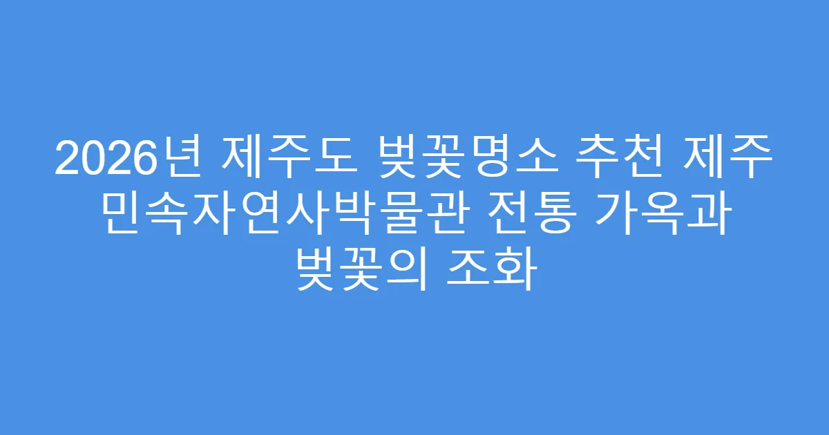 2026년 제주도 벚꽃명소 추천 제주 민속자연사박물관 전통 가옥과 벚꽃의 조화