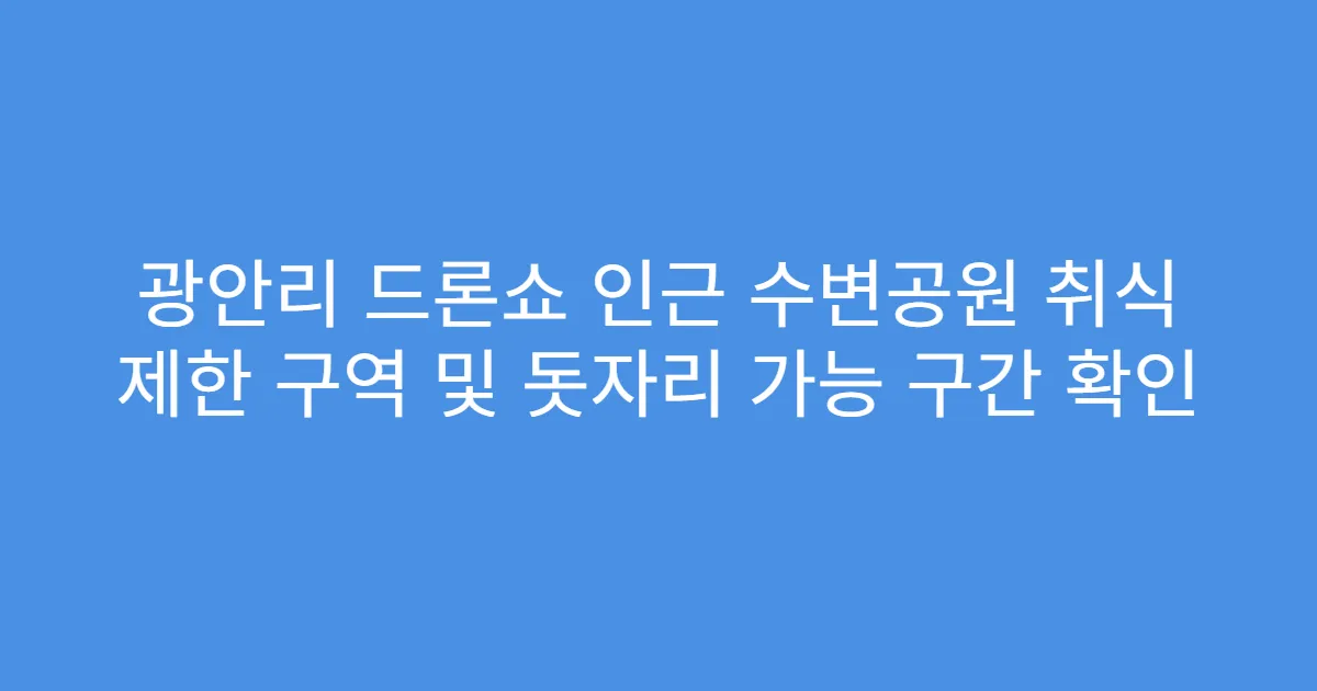 광안리 드론쇼 인근 수변공원 취식 제한 구역 및 돗자리 가능 구간 확인