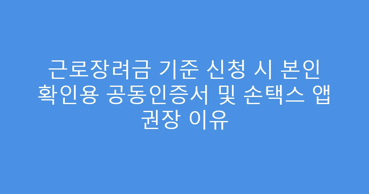 근로장려금 기준 신청 시 본인 확인용 공동인증서 및 손택스 앱 권장 이유