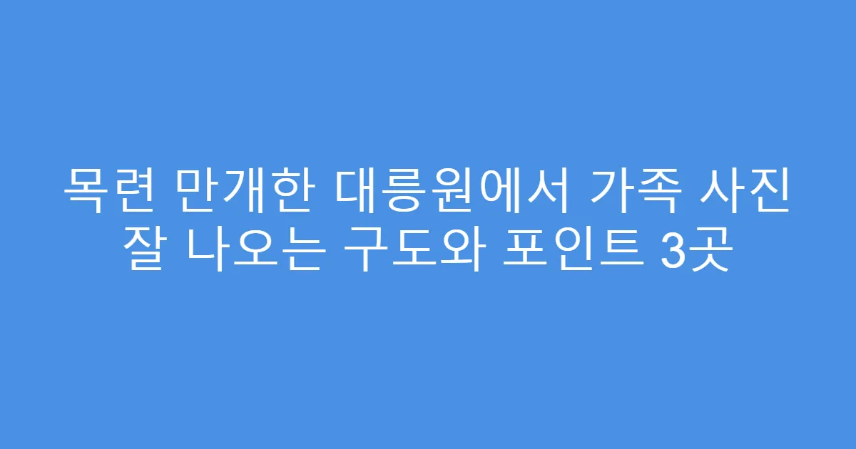 목련 만개한 대릉원에서 가족 사진 잘 나오는 구도와 포인트 3곳