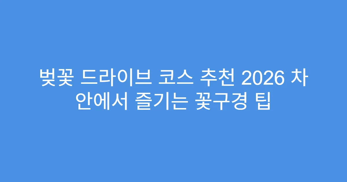 벚꽃 드라이브 코스 추천 2026 차 안에서 즐기는 꽃구경 팁
