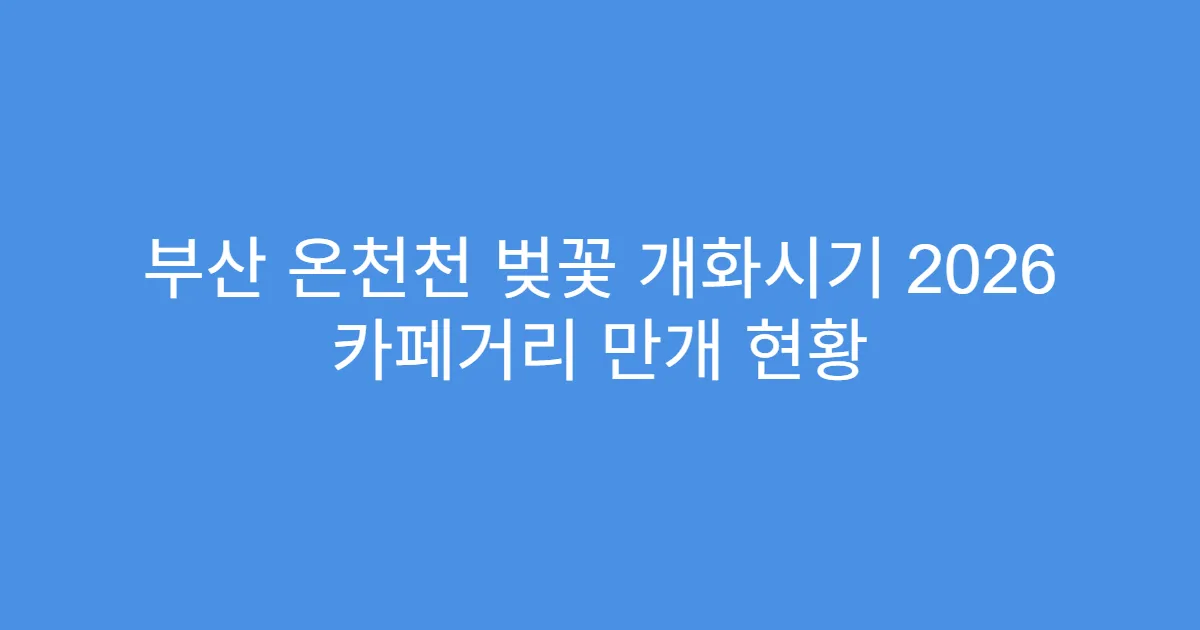 부산 온천천 벚꽃 개화시기 2026 카페거리 만개 현황