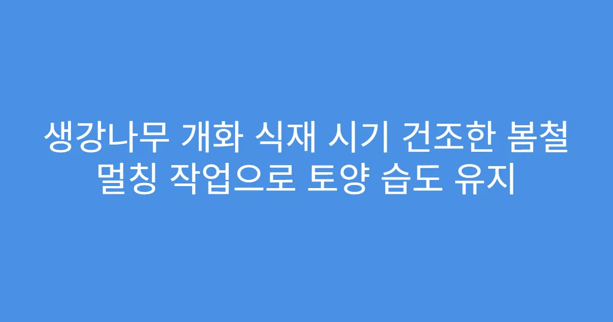 생강나무 개화 식재 시기 건조한 봄철 멀칭 작업으로 토양 습도 유지