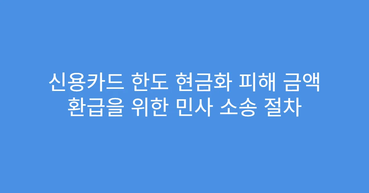 신용카드 한도 현금화 피해 금액 환급을 위한 민사 소송 절차