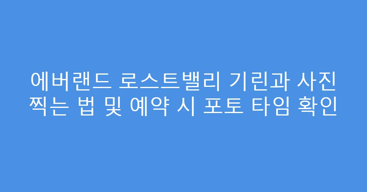 에버랜드 로스트밸리 기린과 사진 찍는 법 및 예약 시 포토 타임 확인