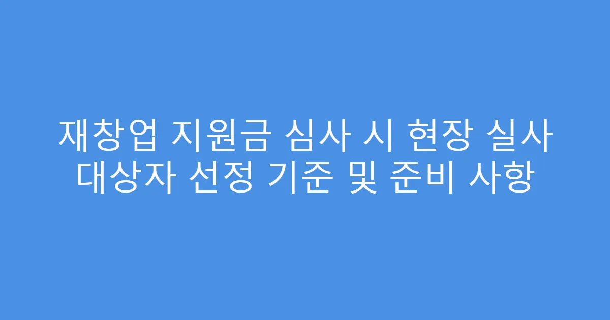 재창업 지원금 심사 시 현장 실사 대상자 선정 기준 및 준비 사항