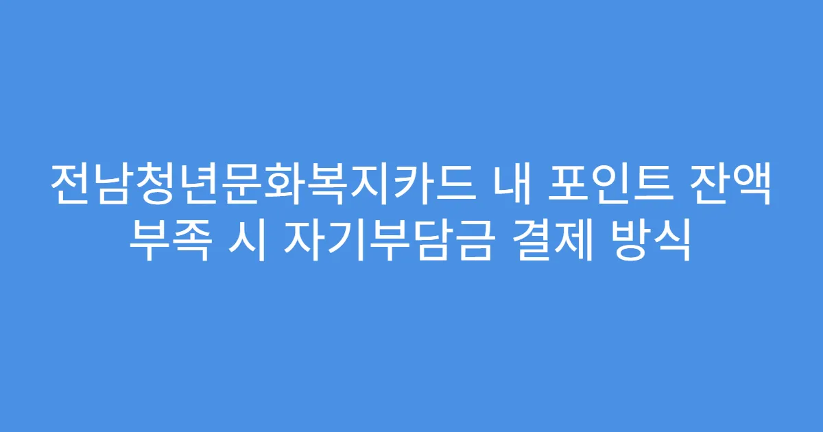 전남청년문화복지카드 내 포인트 잔액 부족 시 자기부담금 결제 방식