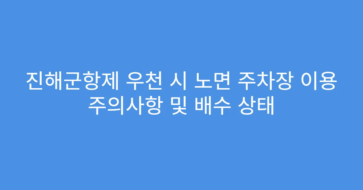 진해군항제 우천 시 노면 주차장 이용 주의사항 및 배수 상태
