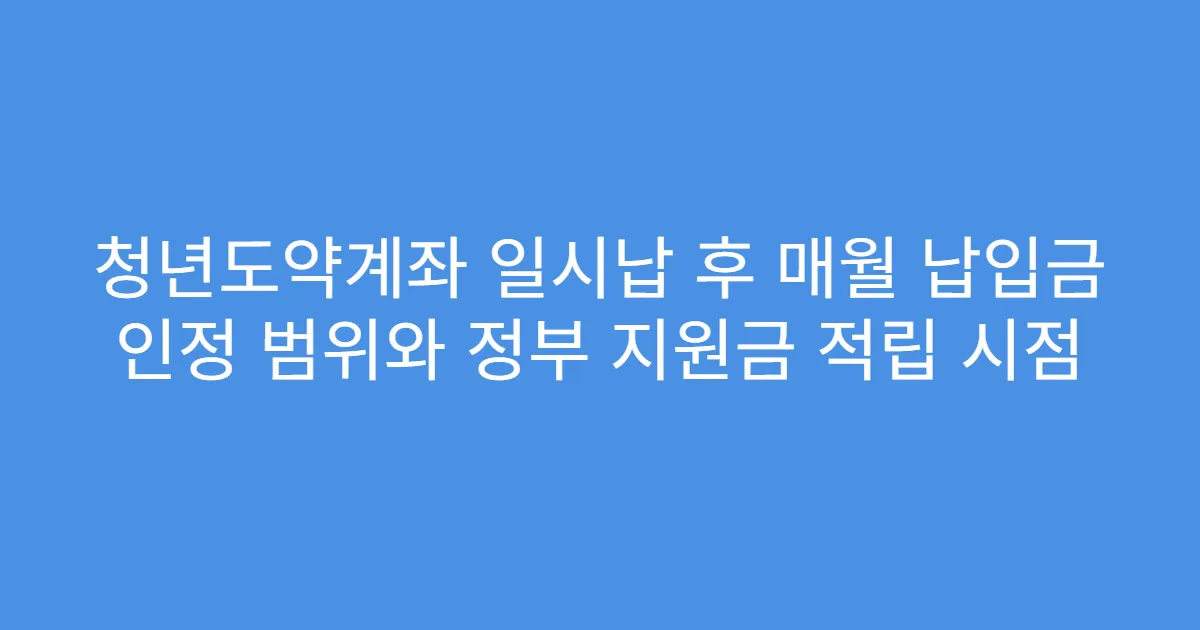 청년도약계좌 일시납 후 매월 납입금 인정 범위와 정부 지원금 적립 시점