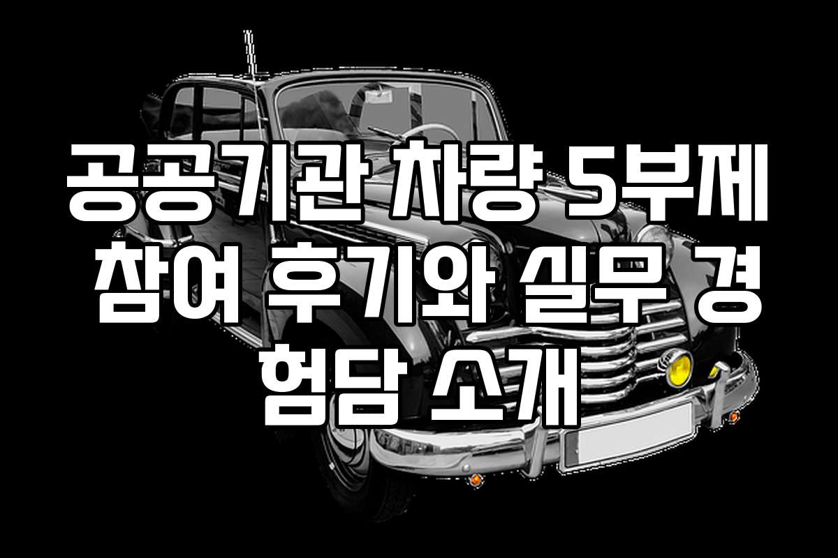 공공기관 차량 5부제 참여 후기와 실무 경험담 소개