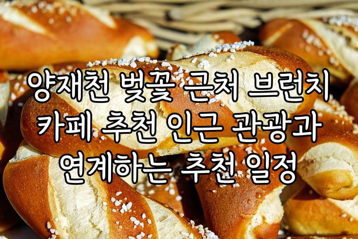 양재천 벚꽃 근처 브런치 카페 추천 인근 관광과 연계하는 추천 일정