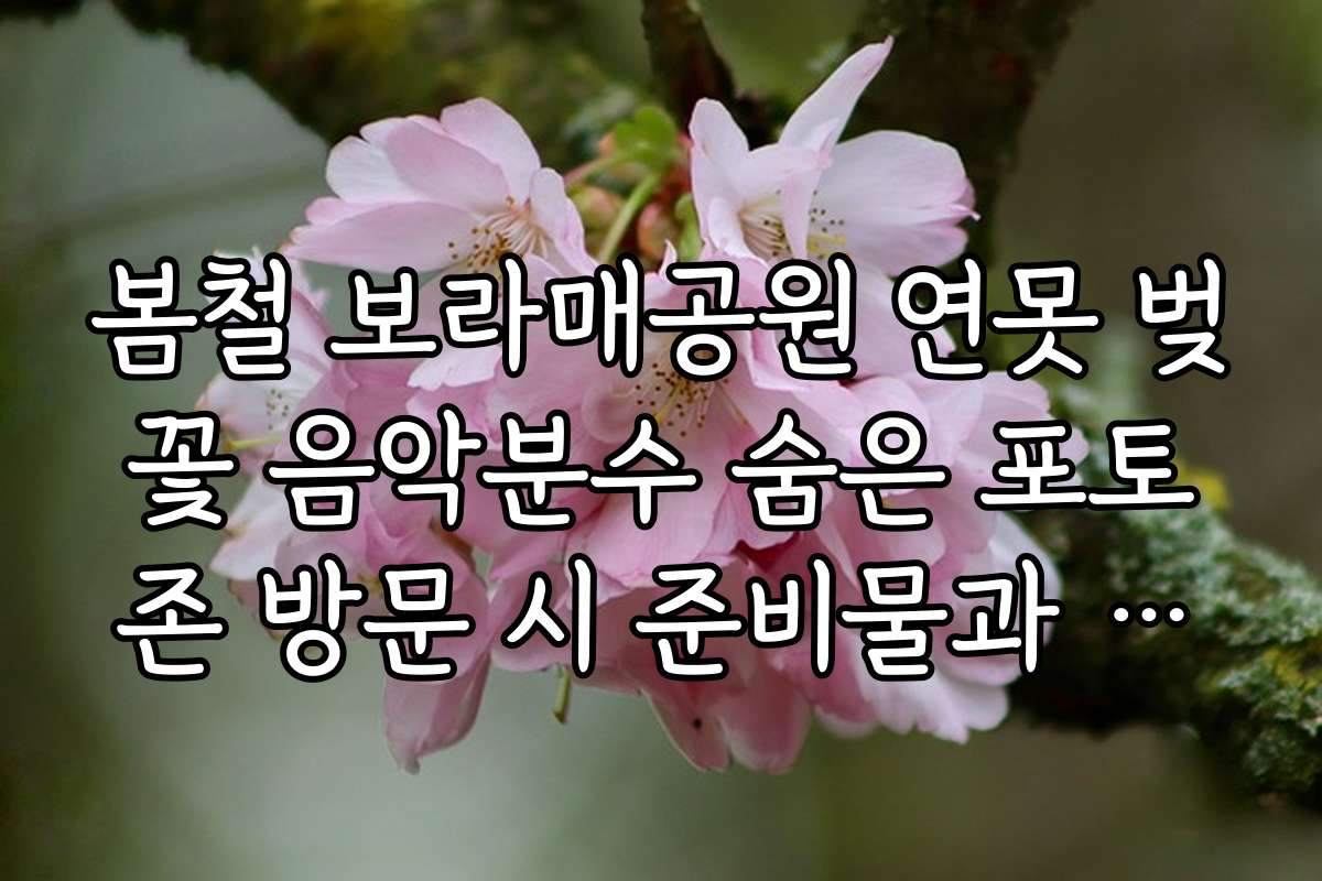 봄철 보라매공원 연못 벚꽃 음악분수 숨은 포토존 방문 시 준비물과 촬영 장비 추천 리스트