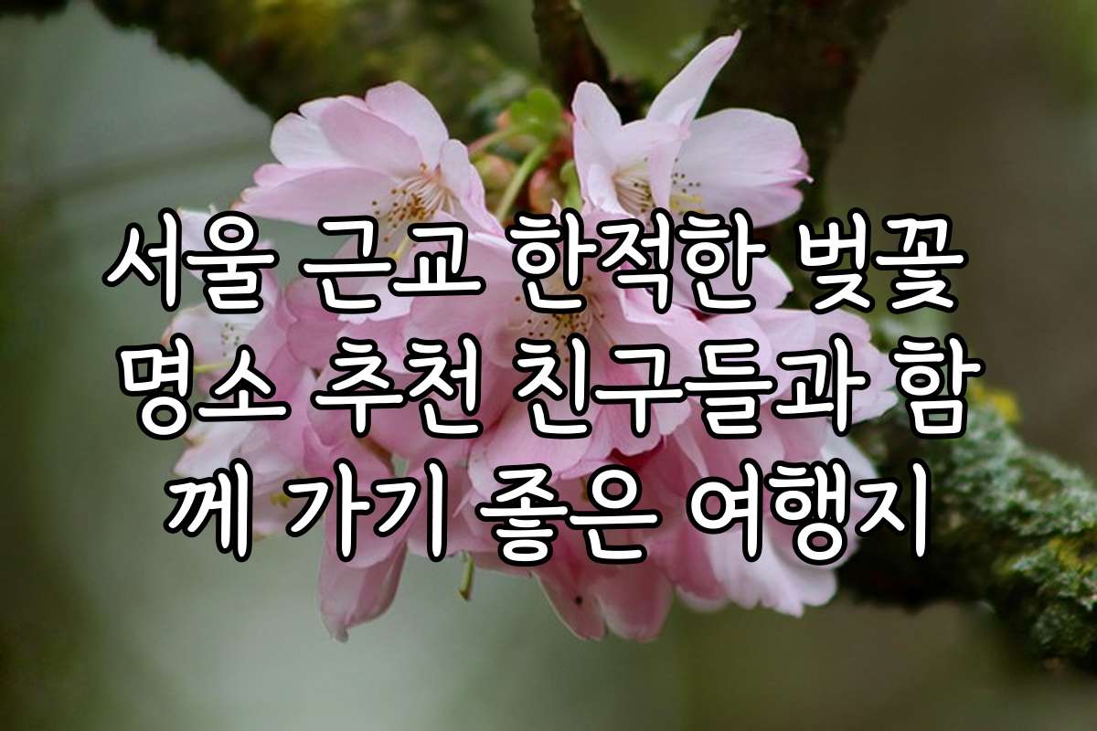 서울 근교 한적한 벚꽃 명소 추천 친구들과 함께 가기 좋은 여행지