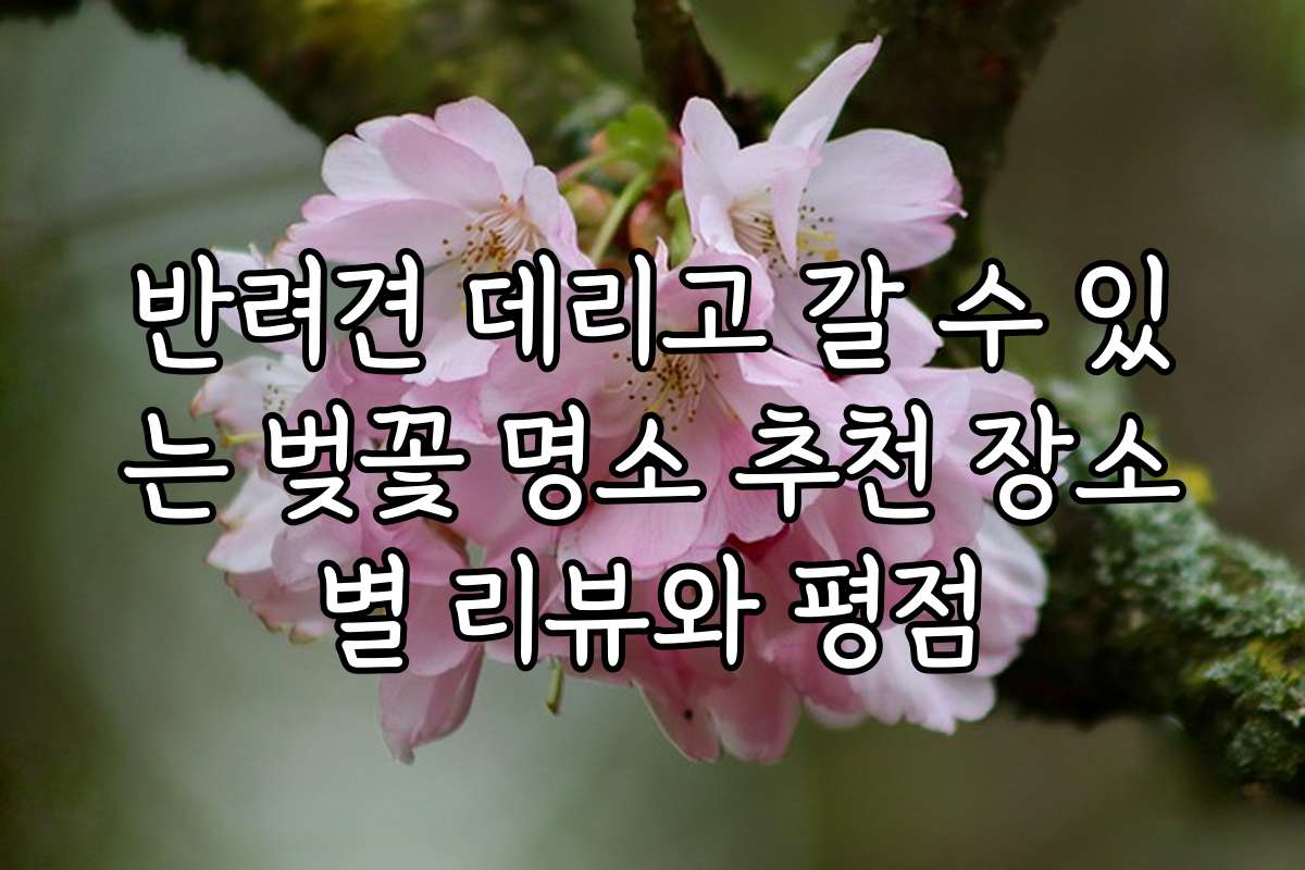 반려견 데리고 갈 수 있는 벚꽃 명소 추천 장소별 리뷰와 평점