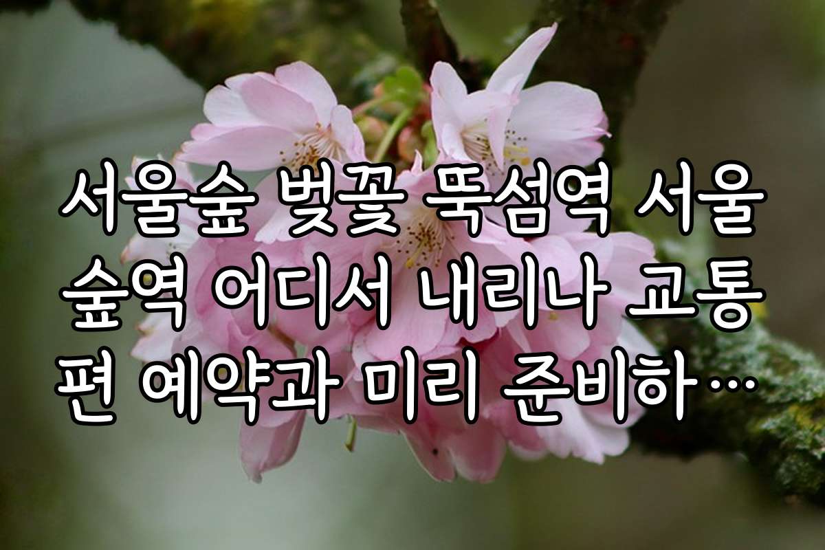 서울숲 벚꽃 뚝섬역 서울숲역 어디서 내리나 교통편 예약과 미리 준비하는 방법 안내
