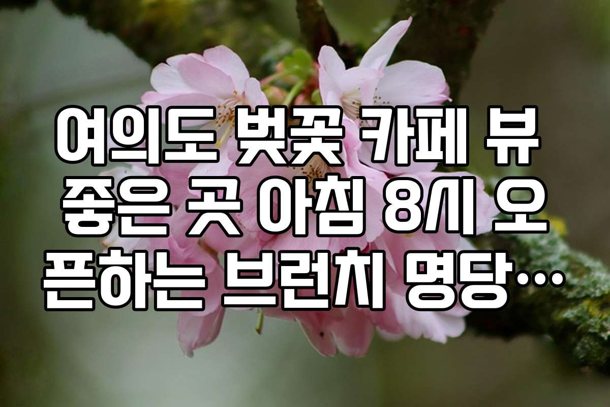 여의도 벚꽃 카페 뷰 좋은 곳 아침 8시 오픈하는 브런치 명당 정보