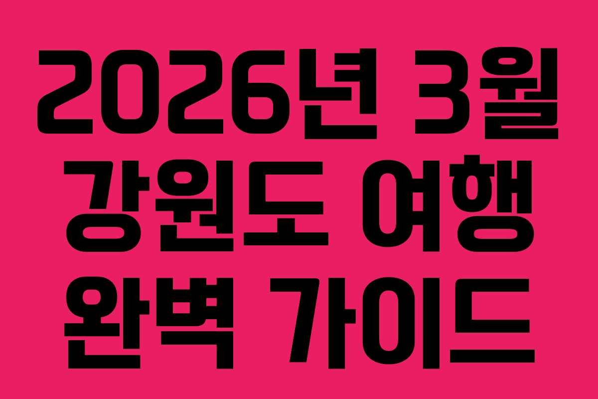 2026년 3월 강원도 여행 완벽 가이드