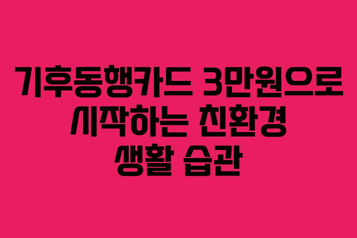 기후동행카드 3만원으로 시작하는 친환경 생활 습관