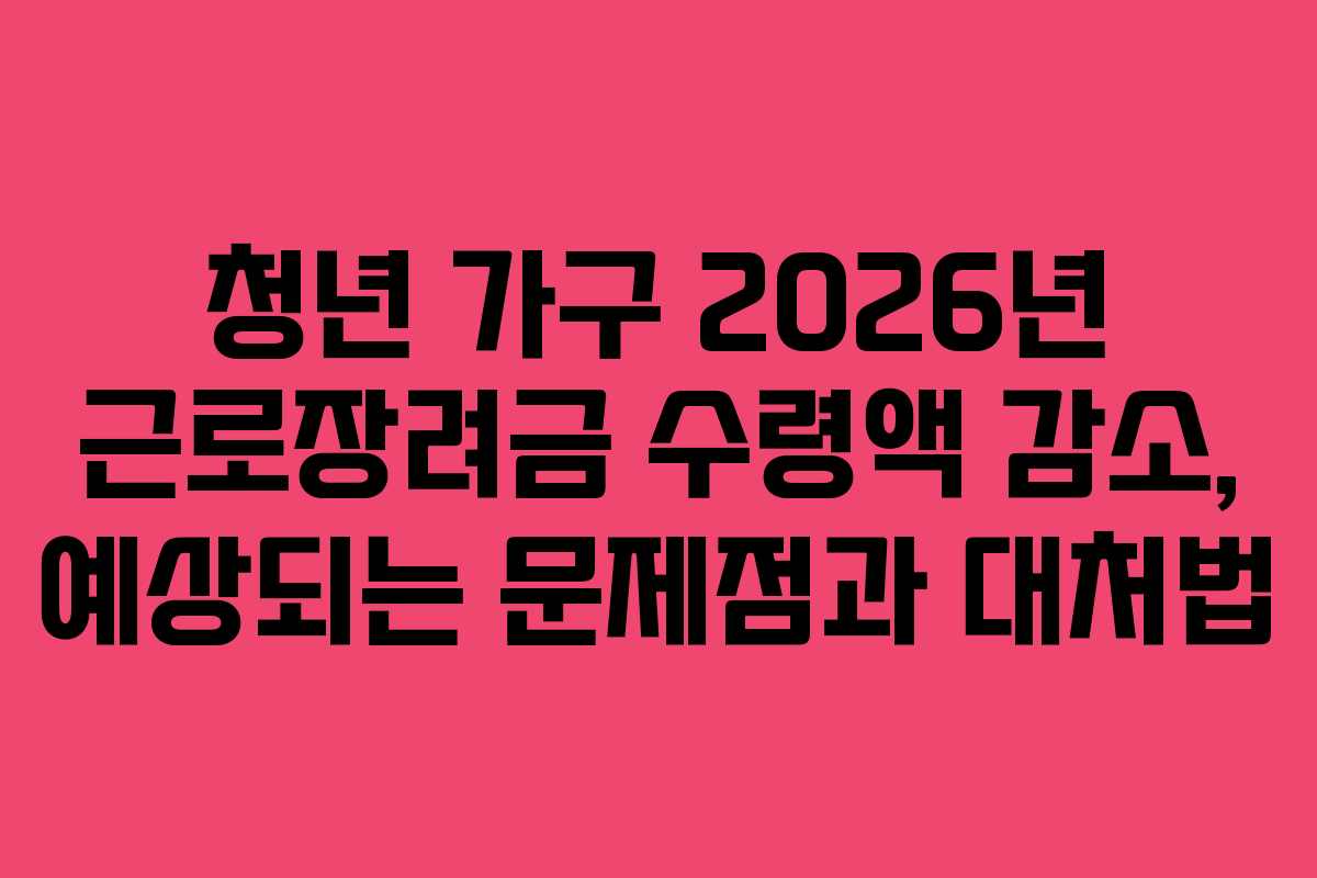 청년 가구 2026년 근로장려금 수령액 감소, 예상되는 문제점과 대처법