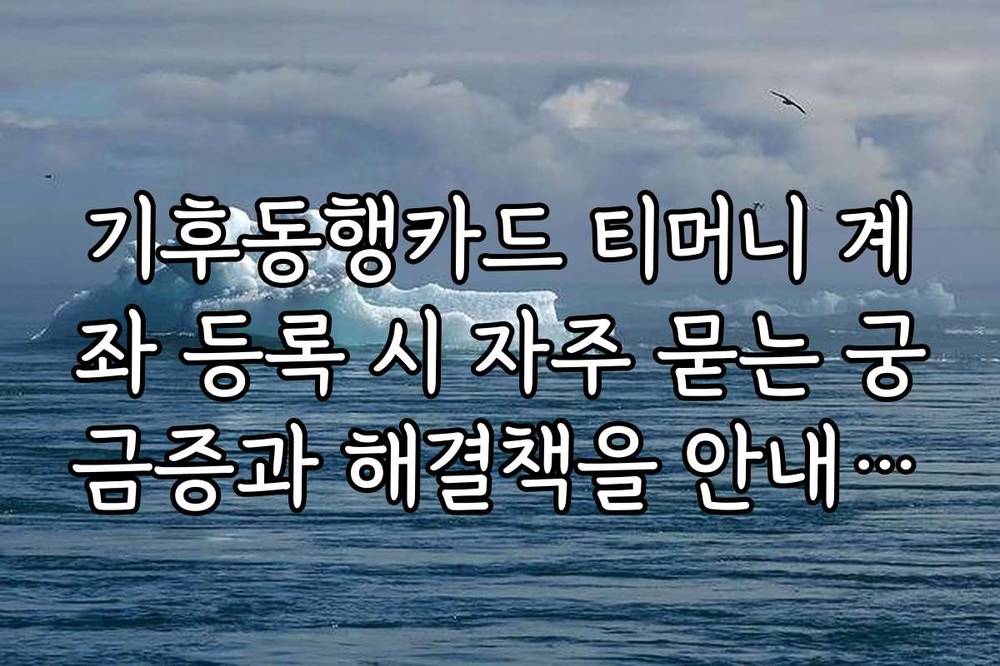 기후동행카드 티머니 계좌 등록 시 자주 묻는 궁금증과 해결책을 안내합니다