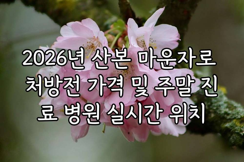 2026년 산본 마운자로 처방전 가격 및 주말 진료 병원 실시간 위치