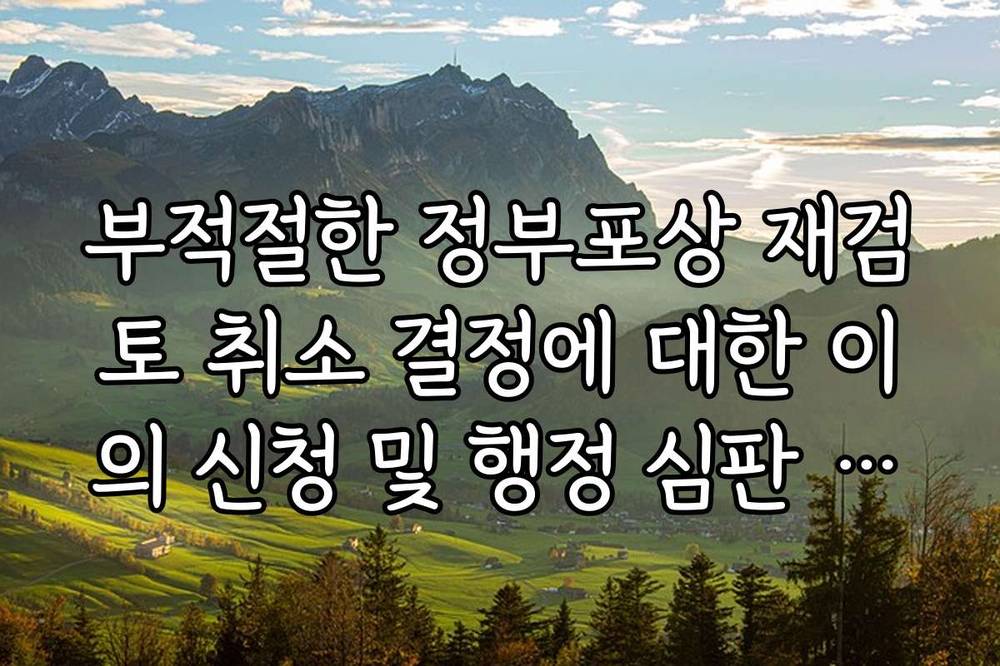 부적절한 정부포상 재검토 취소 결정에 대한 이의 신청 및 행정 심판 절차 가이드